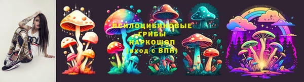 спиды Алексин