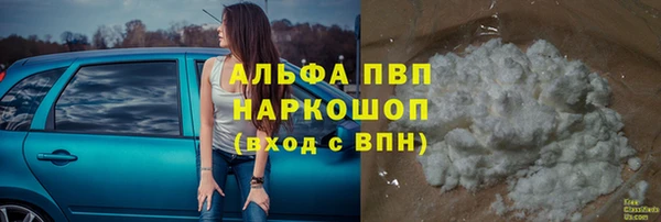 spice Алзамай