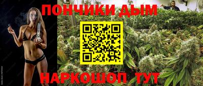 индика Ачхой-Мартан