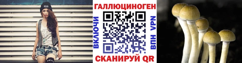 где купить наркоту Аргун Галлюциногенные грибы мицелий