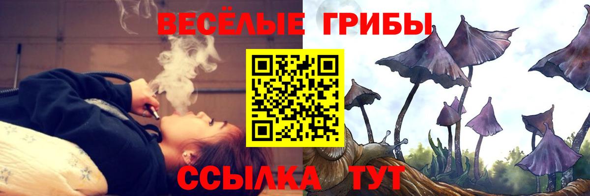 Аргун  Псилоцибиновые грибы MAGIC MUSHROOMS  Вход с VPN 