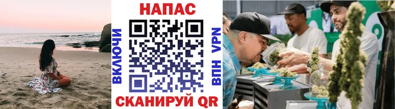 где продают   Аргун  Марихуана индика 